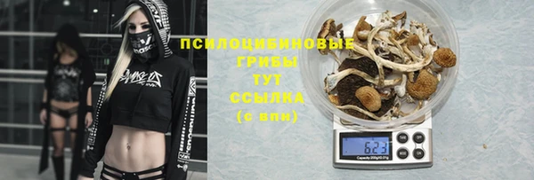 тгк Белокуриха