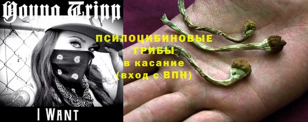 дурь Ладушкин