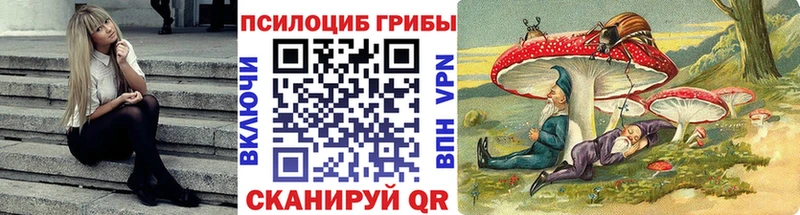 Галлюциногенные грибы Magic Shrooms  hydra ССЫЛКА  Вихоревка  где купить наркоту 